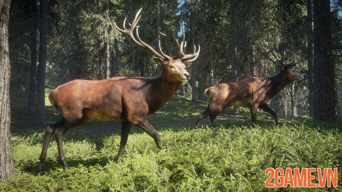 Nhanh tay trở thành thợ săn miễn phí với TheHunter: Call of the Wild 1