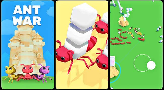 Ant War – Game mô phỏng giải trí tái hiện cuộc chiến sinh tồn của kiến Ant War – Game mô phỏng giải trí tái hiện cuộc chiến sinh tồn của kiến