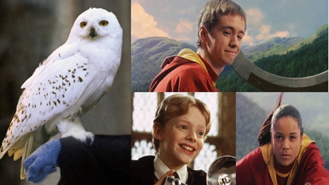 Những nhân vật quan trọng nhưng ít được nhớ tên trong Harry Potter P2