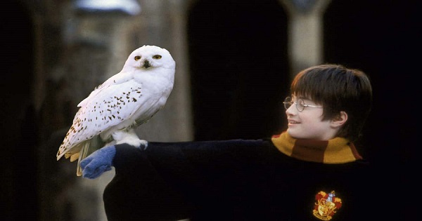 Thế giới phù thủy Harry Potter có lẽ không “quyến rũ” như bạn nghĩ