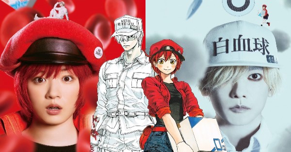 Cells at Work tung ra trailer live-action đầu tiên khiến người hâm mộ xuýt xoa