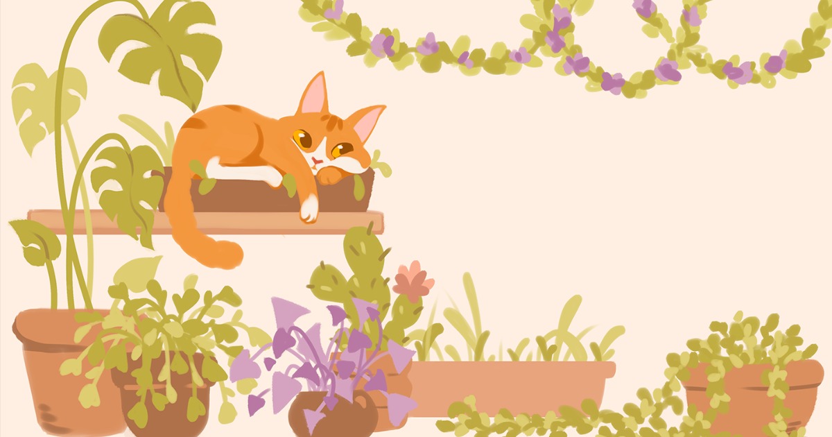 Urban Jungle – Game mô phỏng trồng cây thư giãn, sắp xếp căn hộ và vuốt ve mèo