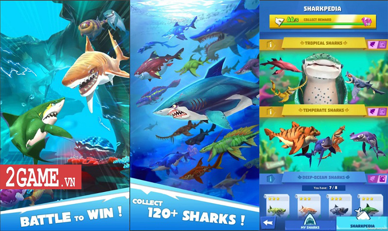 Hungry Shark: Heroes – Tiếp tục hành trình lai giống cá mập dưới hình thức game thẻ tướng
