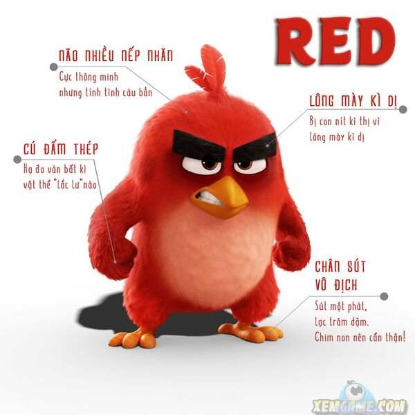 angrybirds_21_4_3.PNG (600×600)