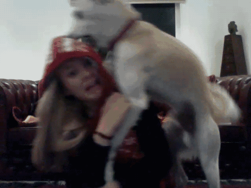 gifhay_9_6_2016_14.GIF (500×375)