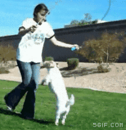 gifhay_9_6_2016_3.GIF (250×259)