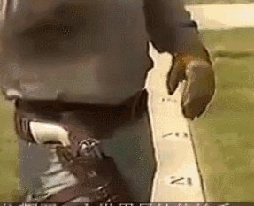 gifhai_16_6_2016_31.GIF (287×233)