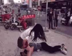 gifhai_16_6_2016_7.GIF (250×194)