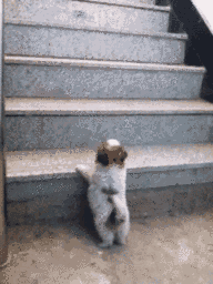 anhvuivl_3_6_2016_11.GIF (192×256)