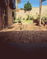 anhvuivl_3_6_2016_14.GIF (160×200)