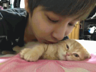 giffu23fnny_12_7_2016_28.GIF (320×240)