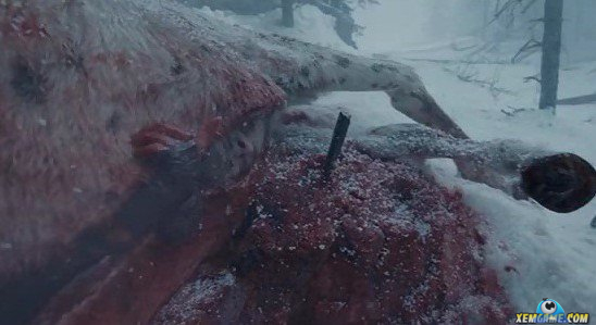 revenant_5_7_2016_1.JPG (548×299)