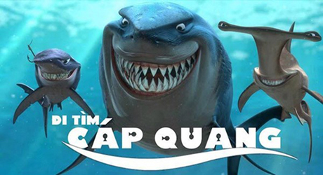 Loạt ảnh chế cá mập cắn đứt cáp quang biển AAG