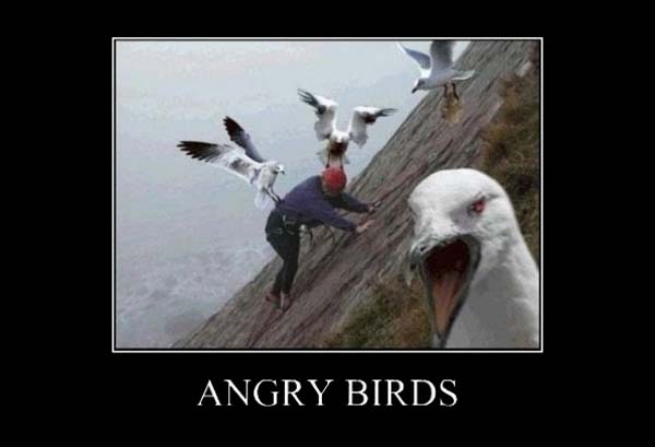 Cha đẻ của Angry Birds đóng cửa một studio và sa thải 110 nhân viên