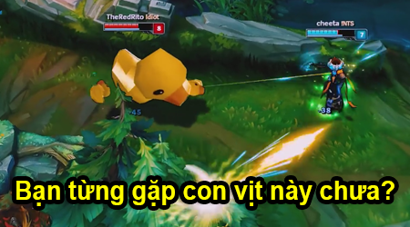 LMHT: Đây chính là con vịt trong truyền thuyết, phải có duyên lắm mới gặp được :D