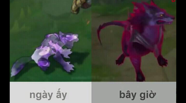 Liên Minh Huyền Thoại Chế phần mới nhất – “Bá đạo trên từng hạt gạo”=))