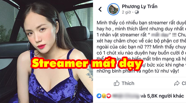 Ca sĩ Phương Ly đăng status chửi thẳng mặt 1 streamer Việt Nam là mất dạy – Thầy Giáo Ba vô tội?